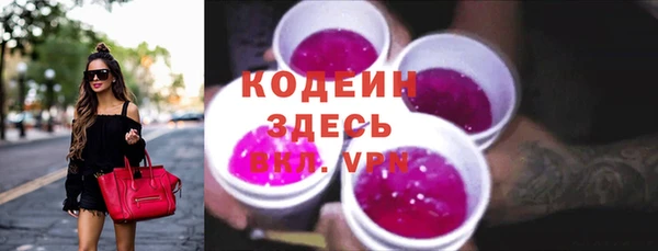 хмурый Арсеньев