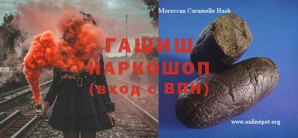 хмурый Арсеньев