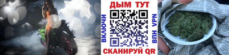 наркотики  Волгоград  Конопля VHQ 